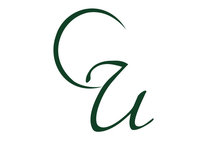 Logo Golf 2